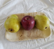 Load image into Gallery viewer, SDPMart Premium Leaf Plates - 10" Square Plates - SDPMart